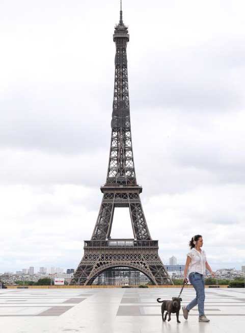 Dua Perempuan Berhijab Ditikam di Bawah Menara Eifel Paris